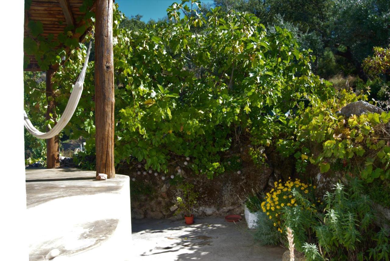 Terrafazbem Villa Marvao  Exterior photo