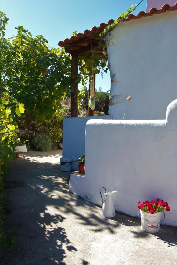 Terrafazbem Villa Marvao  Exterior photo