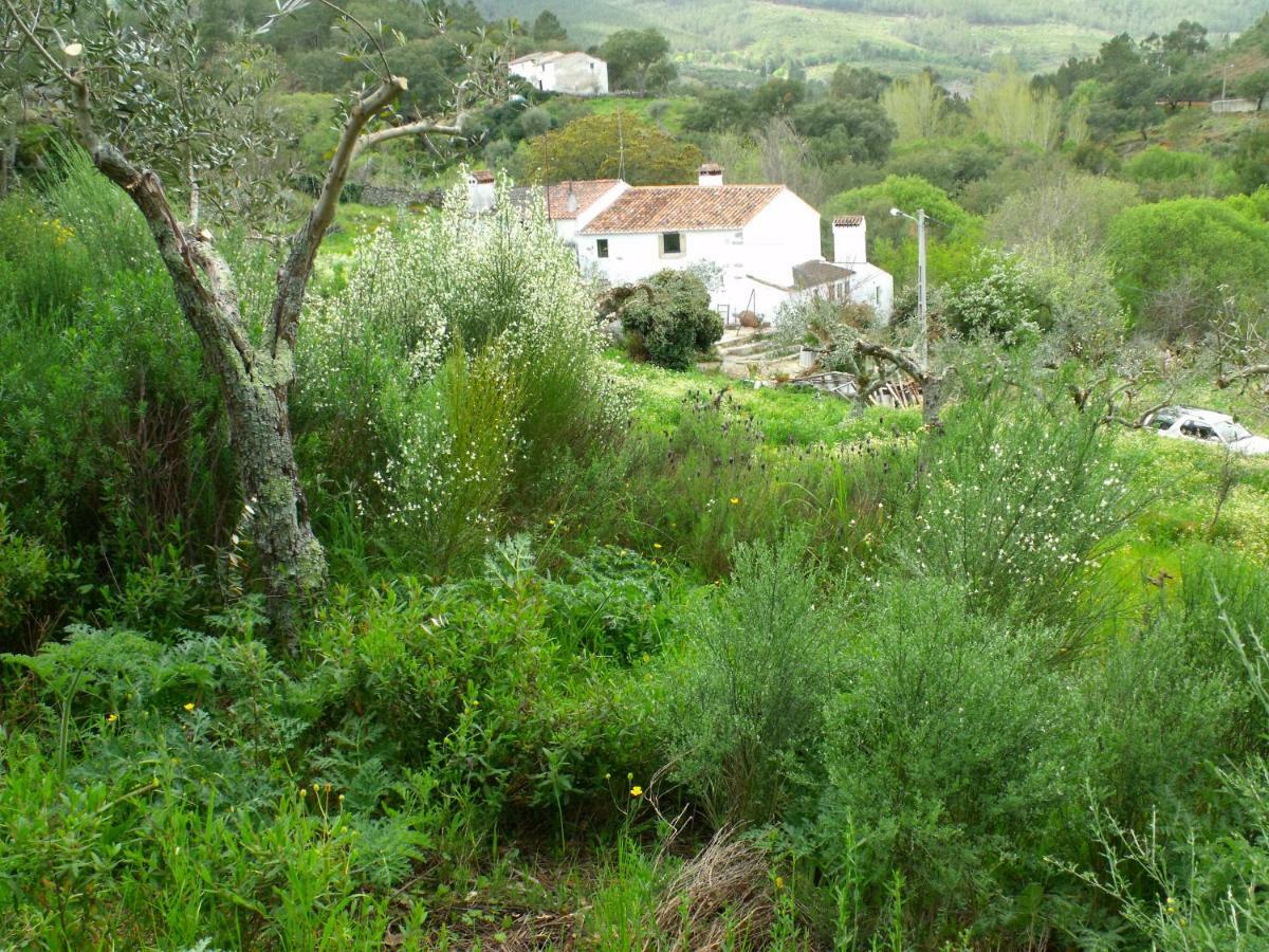Terrafazbem Villa Marvao  Exterior photo